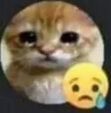 Papusad papusad Discord Emoji