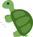 turtle_clap