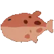 blowfish_blowing