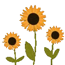 aw_floweryellow