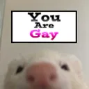 youaregay