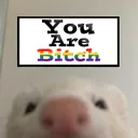 youarebitch