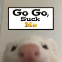 gogosuckme