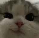 smirk