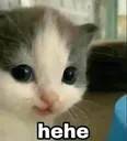 hehe