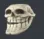 Skrolled