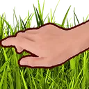 TouchGrass TouchGrass
