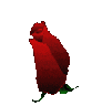 rose_red Discord Emoji