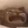 cat_cry
