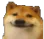doge