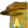 shibepray
