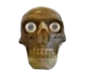 bruhskull