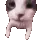 catKISS