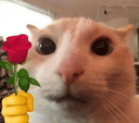 esparati Discord emoji