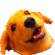 wowee_party