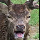 eeee eeee
