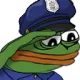 Saludge