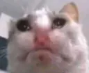 crying_intensifies