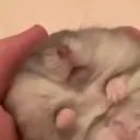 sleep