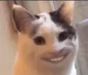 nyheheheheheh Discord Emoji
