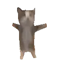 catjump