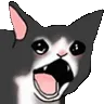 CattoYell
