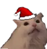 CattoChristmas