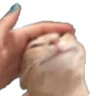 CattoPet