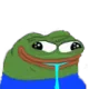 pepedumb pepedumb