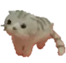 elmimi