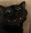 yea