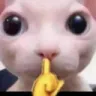 silenciogei