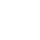 GM