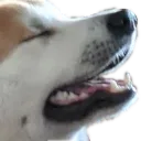 JiroBliss