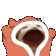 popcathoodie