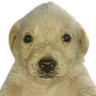potasio