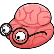 bigbrain