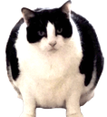 JK_fatcat Discord emoji