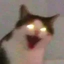 189273573728312