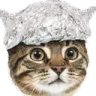 tinfoilcat tinfoilcat
