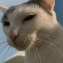 angelyes