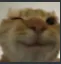 howiewink