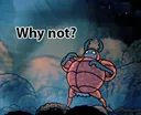 Why_not Why_not
