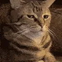 Catuhm