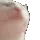 FASTCAT