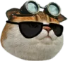 sercoolball