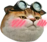 serblushball