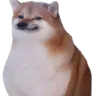 663602053746130955