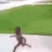 running