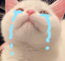 ch_eggencry Discord emoji
